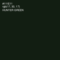 #111E11 - Hunter Green Color Image